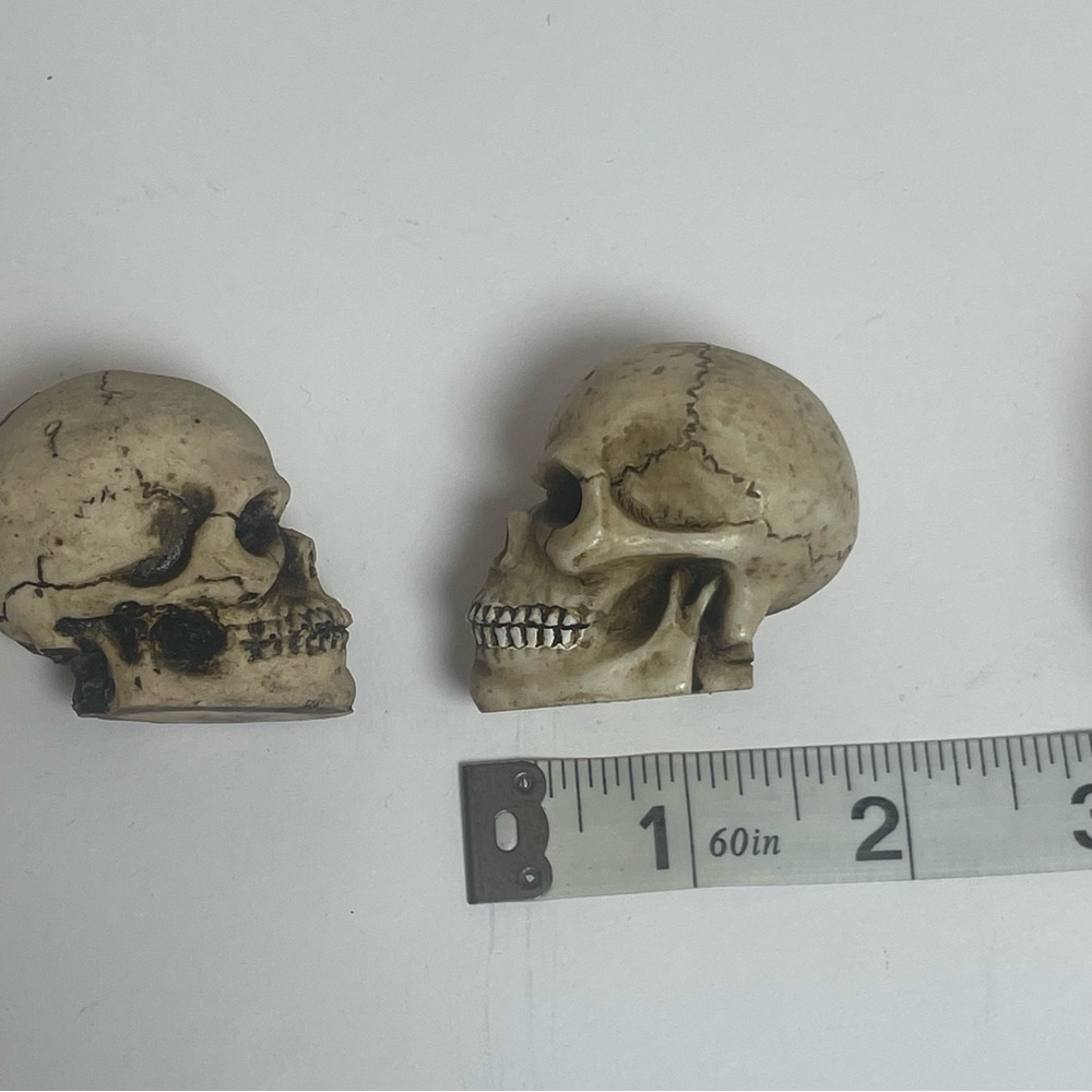 Spooky Halloween Skull Design Mini Trinket Set - Picture 12 of 12
